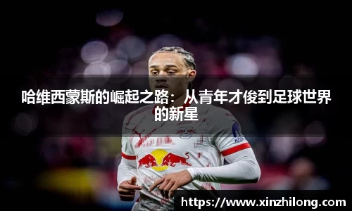 熊猫体育官方网站