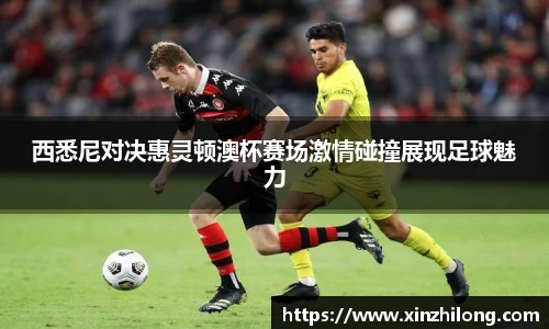 熊猫体育官方网站
